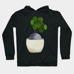 Stephania erecta Hoodie